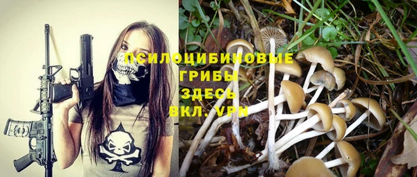 дурь Бронницы