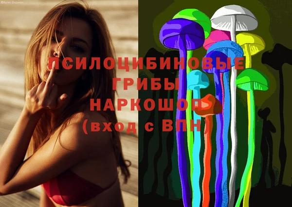 дурь Бронницы