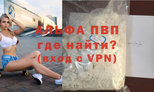 стафф Бородино