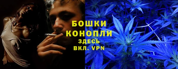 ешки Богородицк