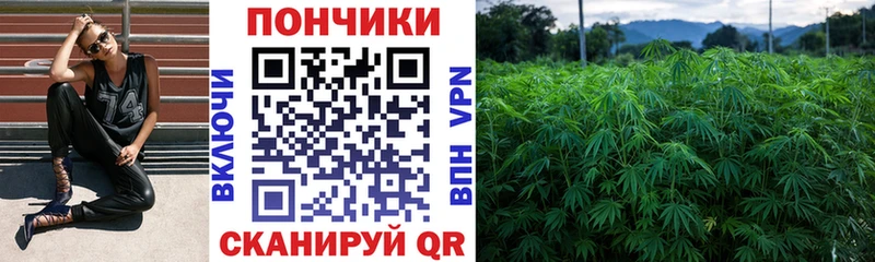 Бошки марихуана White Widow  купить наркотик  Горняк 